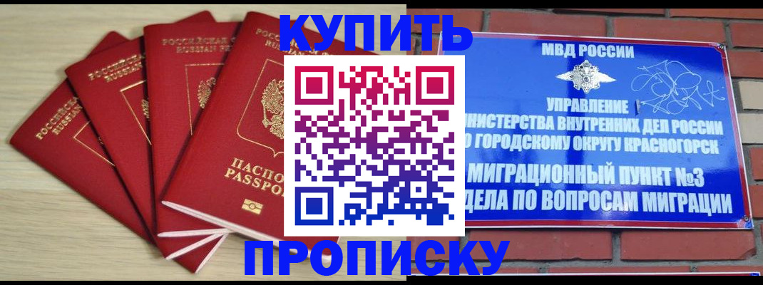 временная регистрация для всех в Светлограде